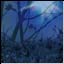 Mystischer Wald